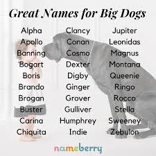 When there are so many choices, it can be hard to pick just one. Great Names For Big Dogs Big Dog Names Dog Names Names