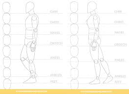 Anime body proportions anime characters don't have very strict proportions—ea. Figure Drawing For Anime Artists Draw Better Bodies And Proportions With This Simple Technique Painting Dreamscapes