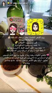 قالب مدونة تغريد الطيور مجانا