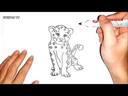 Easy cheetah drawing at getdrawings. How To Draw A Cheetah For Kids 05 2021