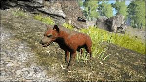 Campfire or a cooking pot) jump into the. Ark Hyaenodon Guide Abilities Taming Food Saddle Breeding Drops Location Progametalk