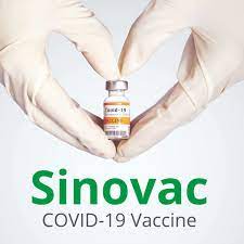 Jun 08, 2021 · the philippines has approved the use of sinopharm group's coronavirus vaccine, adding to the more than 15 million doses expected to arrive in the coming weeks as the nation aims to accelerate. Amid Demand For Sinovac Covid 19 Vaccines Some Singapore Healthcare Firms Looking At Importing More Non Mrna Shots Starmed Specialist Centre