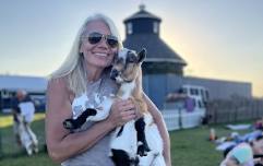 Saturday Goat Yoga 6/13/26