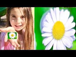 Sac Rengimi Papatya Suyu Ile Acmaya Calisiyorum Ecrin Su Coban Youtube