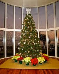 Christmas Tree With Beach In The Background At Myrtle Beach Christmas Lights Christmas Tree Holiday Decor