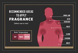 How To Apply Cologne A Man S Guide To Fragrance Usage