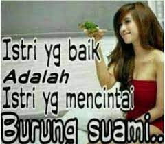 Meme 18 Di Instagram Istri Yang Baik Itu Istri Yang Mencintai Burung Suami Kuy Follow Meme Dewasa18 Lucuabis Lucu Dagel Gambar Lucu Lucu Meme