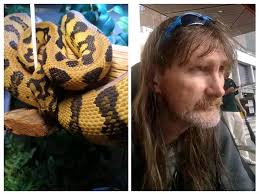 Her Majesty's nocturnal subjects would find this rude