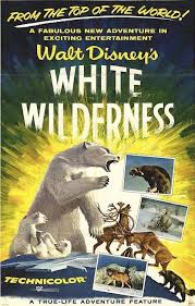 The Disney Films White Wilderness Disney Movie Posters Classic Disney Movies Disney Documentary
