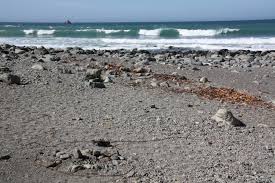 Willow creek from sven dreesbach on vimeo. Willow Creek Picnic Area Big Sur Ca California Beaches