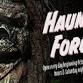Haunted Forest Night Walk event image