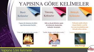 Yapisina Gore Kelimeler 2020 Edebiyat Egitim Yaya