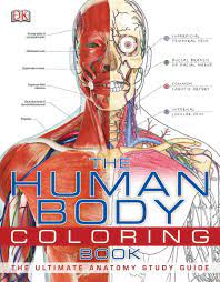 A detailed guide to understanding how muscles and bones interact, and how common injuries and conditions occur. Amazon Com The Human Body Coloring Book The Ultimate Anatomy Study Guide 8589097777771 Dk Books