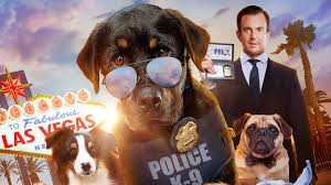 Facebook is showing information to help you better understand the purpose of a page. Show Dogs Turkce Dublaj Izle 2018 Jet Film Izle