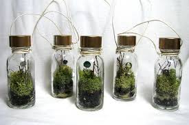 Terrarium Ornaments Terrarium Mini Plants Bottle Garden
