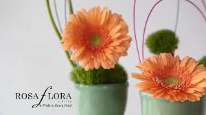 We are here to help with any questions you may have. Kennicott Grand Rapids Home Facebook