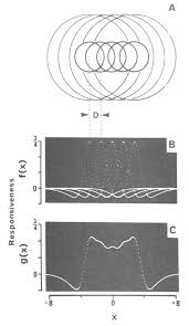 Keratan rentas kulit manusia keratan rentas kulit manusia. Http Www Sciencedirect Com Science Article Pii 004269897990138x Pdf Md5 7d49b6dbe6efa7aa36b90897650a4d50 Pid 1 S2 0 004269897990138x Main Pdf