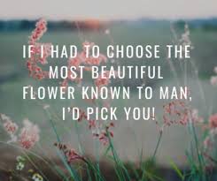 Are you wondering what encouraging quotes to make her say aww? 61 Sweet Things To Say To Your Girlfriend To Make Her Feel Special Sweetest Messages