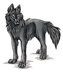 Image result for ninja wolf