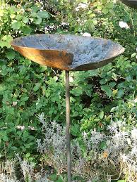 Bienentranke Staudenschmuck Ch Bienenweide Insekten Im Garten Gartendekoration Vogel Im Garten In 2020 Insekten Bienen