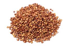 Image result for Sorghum
