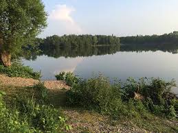 Weil firmengelände und wohnhäuser überspült wurden, ist das wasser im see nicht sauber. Fkk In Julich Barmen See Impressionen
