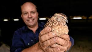 Tiny birds maiden voyage putting region on food map | The Courier Mail