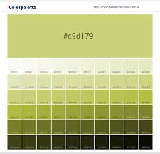 We did not find results for: Hex Color Code C9d179 Greenish Beige Color Information Hsl Rgb Pantone