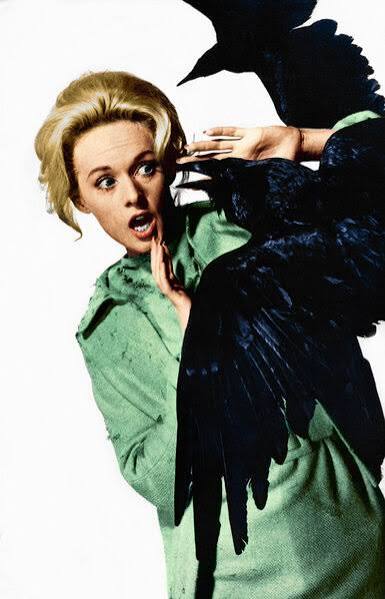 Ways to Supplement Your Viewing of Alfred Hitchcock's The Birds