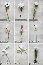 Collection of cut flowers in a creative arrangement (en); White Flower Guide Wedding Flower Guide White Flowers Flower Guide