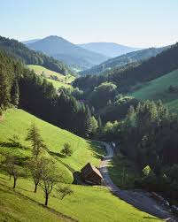 wandern um bad peterstal griesbach auf dem wiesensteig der schwarzwalder wandersinfonie baden wurttemberg deut wandern baden wurttemberg schwarzwald wandern