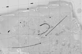 Sekdes pejambon bojonegoro yang kemarin jumat, 01/12/2017 memberikan ilmunya kepada peserta sinau bareng ademos. 2