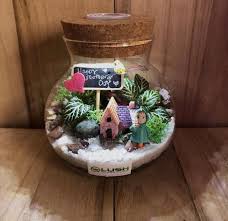 Mother S Day Themed Fittonia Terrarium With Light Terrarium Plant Breeding Mother S Day Theme