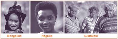Ras asiatic mongoloid adalah keturunan tionghoa, korea, dan jepang yang tersebar di indonesia. Pengertian Ras Macam Macam Dan Ciri Ciri Ras Kaukasoid Mongoloid Negroid Australoid Dan Ras Khusus