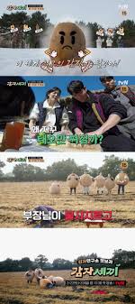 드라마 감자연구소, 스페셜 예능 감자세끼 : 네이트 연예