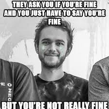 You Just Have To Say That You Re Fine Meme Pin By Hadid1088 On Zedd Me Too Meme Zedd Listening To Music