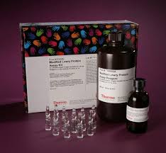 L'émission en replay et ses archives en réécoute sur france culture. Thermo Scientific Pierce Modified Lowry Protein Assay Kit Substrat Kit 530 Ml Kit Gesamtprotein Assay Kits Fisher Scientific