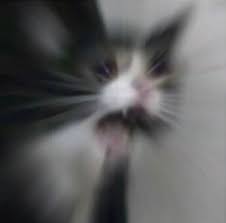 Though many airdrops are harmless jokes or memes, there's always the chance that someone could send you something obscene, disturbing, or inappropriate. Photos I Ve Airdropped To Strangers Album On Imgur