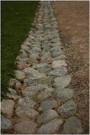 How To Choose The Right Kind Of Plants For Your Swale Landscaping Landscaping Ideas Drainage Ditch Yard Drainage Landscape Drainage