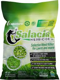Image result for Salacia