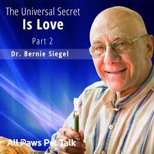 All Paws Pet Talk TV Podcast