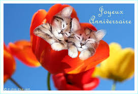 Carte anniversaire vintage banque d'images et carte anniversaire enfant 50 ans vintage à télécharger et imprimer gratuitement. Carte Anniversaire Gratuite Par Sms Nanaryuliaortega Web