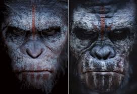 He finally drops koba to his death, after the latter betrayed the apes for his own selfish goals. The Truth About Planet Of The Apes Caesar And Koba Ign