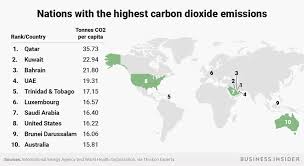 5 Sobering Charts That Show How Many Resources Americans Use And Waste Business Insider American Chart