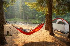 If you are uncertain whether an area is open, please contact a forest office. Sherwood Campground Mt Hood Or 1 Hipcamper Review And 2 Photos