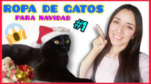 Ropa De Gatos Para Navidad Como Hacer Ropa Para Gatos De Navidad 1 Youtube