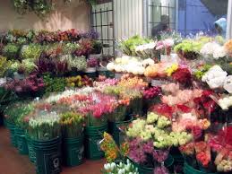 Maybe you would like to learn more about one of these? Things That Make Me Smile Rachel S Musings