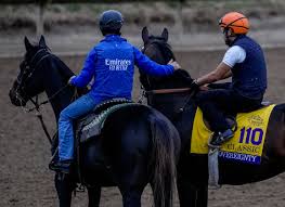 Chalina.l thothub shes attractive, excellent at what she