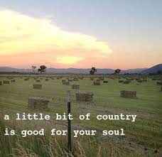 170 Inspiration Country Style Ideas Country Quotes Country Girl Quotes Country Girls