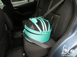 The sleepypod is more than a pet bed, more than a carrier or car seat: Your Cat Will Travel In Style And Safety With The Sleepypod Mobile Pet Bed And A Giveaway Lola The Rescued Cat